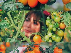 -小塘渔村(开平大道店)