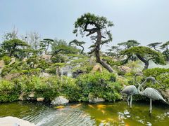 -罗红摄影艺术馆