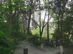 -成都市活水公园