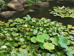 -武汉紫薇都市田园