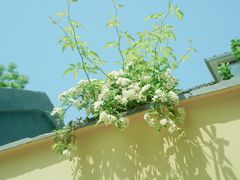 -颐和路民国时期公馆风貌区