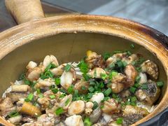 -红星光发煲仔饭(文海店)