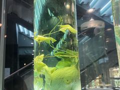 -广东中医药博物馆
