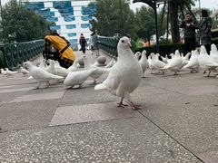 -国色天乡三期陆地乐园