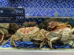 -欧记·龙城港(欣都店)