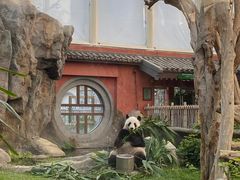 -香港海洋公园