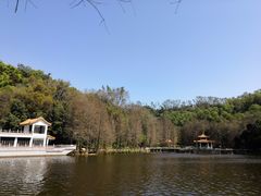 -深圳仙湖植物园
