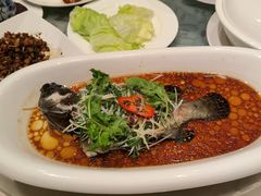 -桃源春晓中餐厅 TaoYuan Restaurant