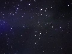 -大连圣亚海洋世界
