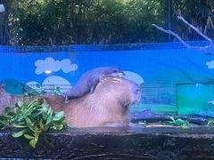 -广州长隆野生动物世界
