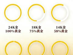 -海星奢选二手奢侈品手表包包鉴定回收寄卖(墨玉南路店)