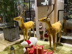 -大书房咖啡(中传国交店)