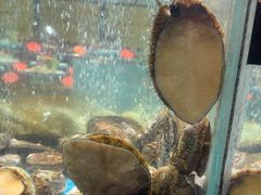 -渔码头食府(蓬莱阁店)