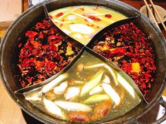 -白乐天毛肚火锅馆(解放碑店)