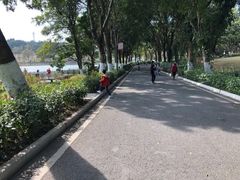 -东莞植物园