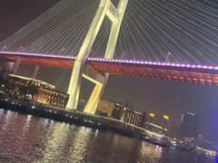 -新龙船黄浦江餐饮游船官方自营店