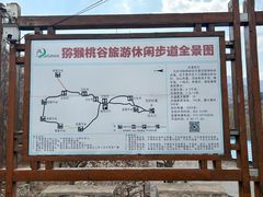 -大岭沟猕猴桃谷风景区