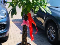 -爱尚花坊(大林路店)