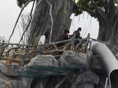 -九龙湖公园