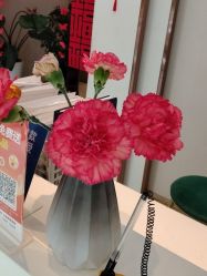 -Dr.林醫生产后修复·配方产康店(南京大厂店)