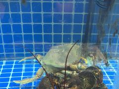 -碧海银沙海鲜餐厅(恒大海上威尼斯店)