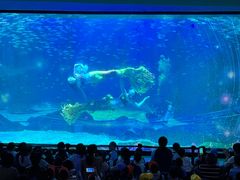 -海合安成都极地海洋公园