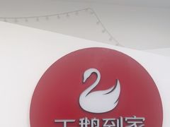-天鹅到家·保姆月嫂育儿嫂(朝阳店)