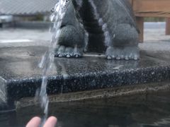 -望儿山温泉水乐园