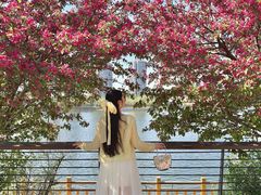 -长白岛森林公园