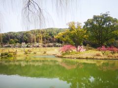 -无锡梅园公园