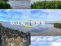 -上海吴淞炮台湾国家湿地公园