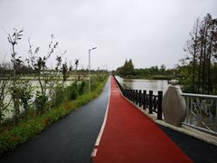 -上海长兴岛郊野公园