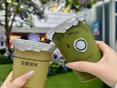 -宝藏绿洲(万象前海店)