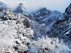 -王顺山国家森林公园