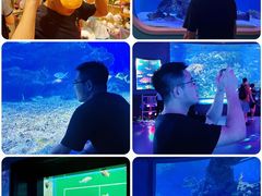 -海合安武汉极地海洋公园