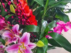 -桂林市花鸟市场