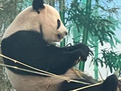 -秦皇岛野生动物园