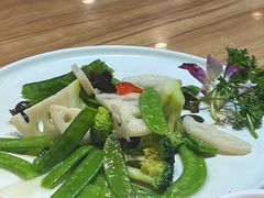 清炒时蔬-品回味清真西北楼(宁波首店)