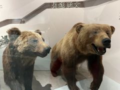 -武汉园博园(武汉自然博物馆)