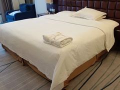 -上海浦东绿地铂骊酒店