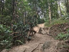 -火炉山森林公园