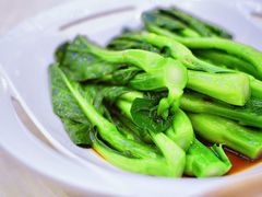 白灼菜心-龙的酒楼·手工早茶·顺德菜(近良路店)