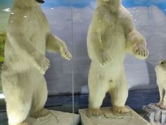 -郑州自然博物馆(惠济区)