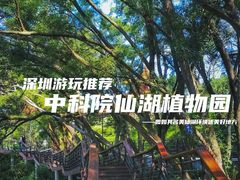 -深圳仙湖植物园