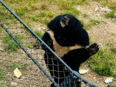 -大连森林动物园