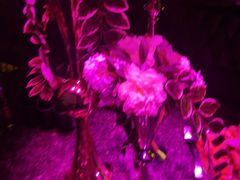 -INLOVE KTV(文一店)