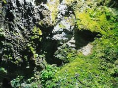 -海口火山口国家地质公园