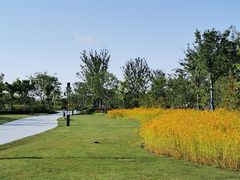 -南汇新城城市公园