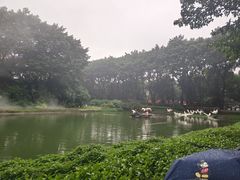 -广州长隆飞鸟乐园