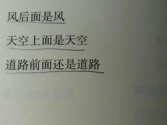 -兄弟鸡排.芋泥香酥鸭(淮海街店)